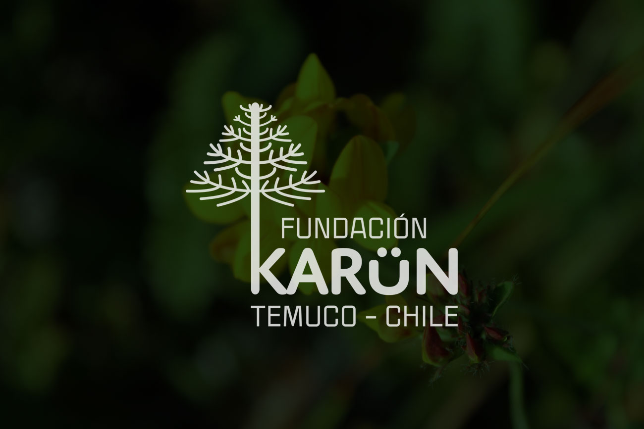Escuela de Formación Ambiental Coloquios Karün 2025