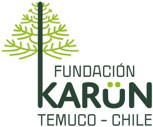 Fundacion Karün