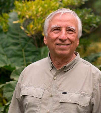 Foto: Manuel Baquedano