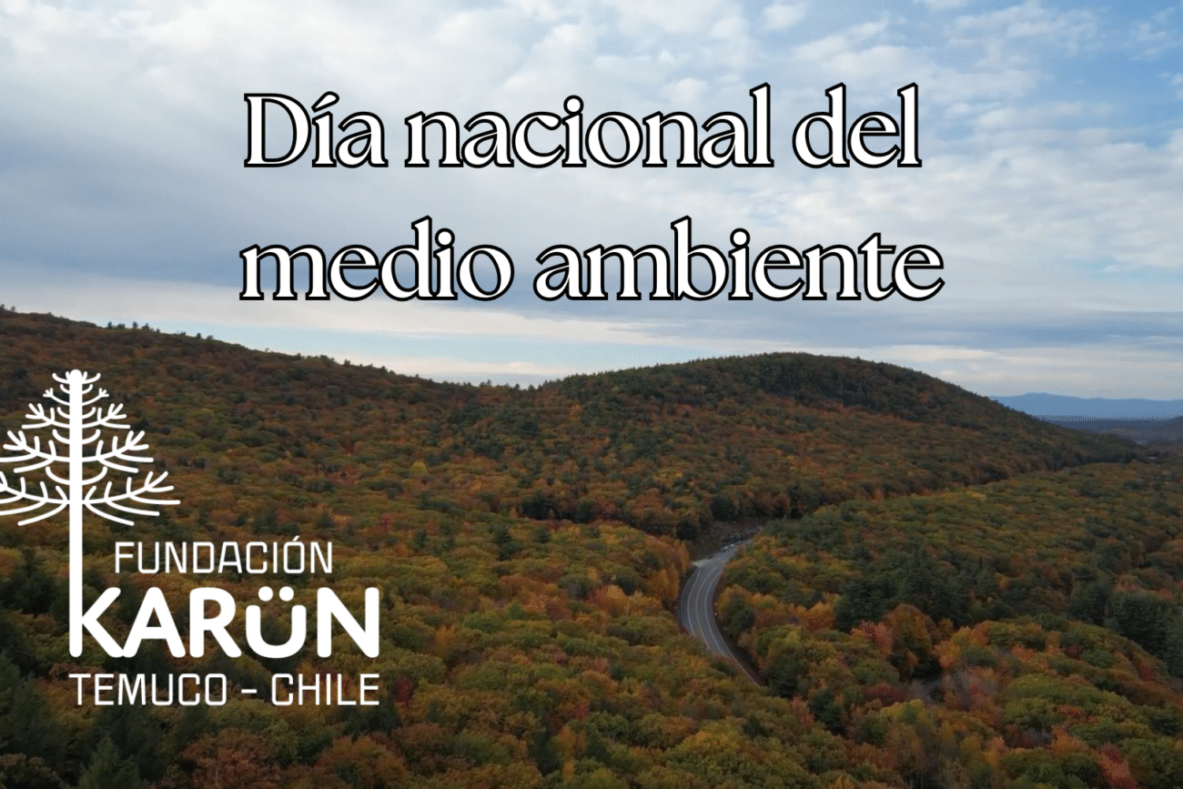 Video día nacional del medio ambiente