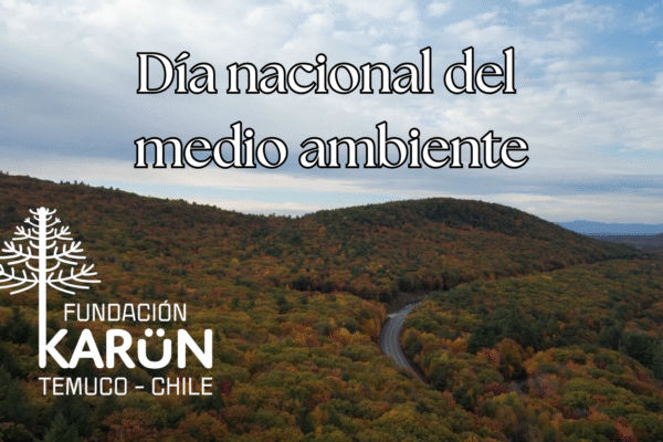 Video día nacional del medio ambiente